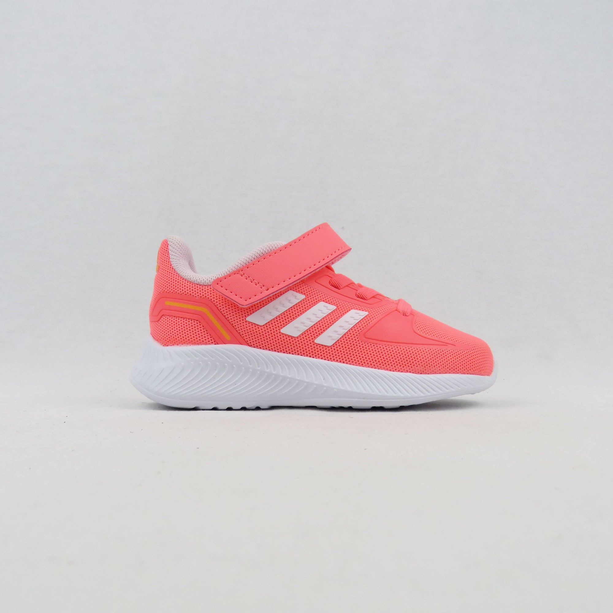 CORAL / 10